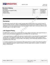 QBLP613-RIG Datasheet Page 12