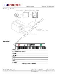 QBLP651-IW Datasheet Page 12