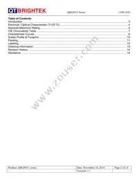 QBLP653-IW Datasheet Page 2