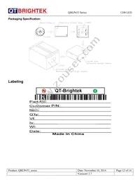 QBLP653-IW Datasheet Page 12
