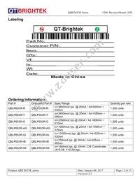 QBLP653R-R Datasheet Page 12