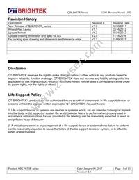 QBLP653R-R Datasheet Page 13