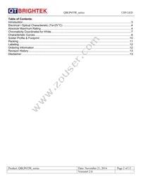 QBLP655R-IG Datasheet Page 2