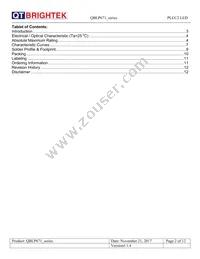 QBLP671E-IG Datasheet Page 2