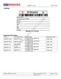 QBLP671E-IG Datasheet Page 11