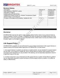 QBLP671E-IG Datasheet Page 12