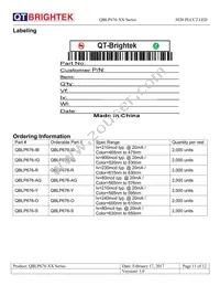 QBLP676-Y Datasheet Page 11