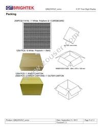 QBQ28IB1 Datasheet Page 9