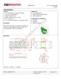 QBQS560AG Datasheet Page 3