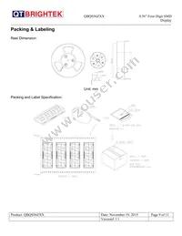 QBQS560AG Datasheet Page 9