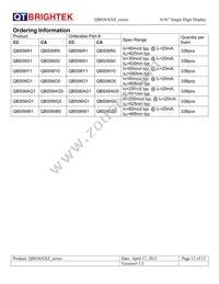 QBS56IG1 Datasheet Page 12