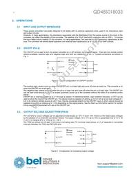 QD48S018033-NS00 Datasheet Page 4