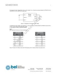 QD48S018033-NS00 Datasheet Page 5