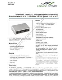 QHW100Y1 Datasheet Cover