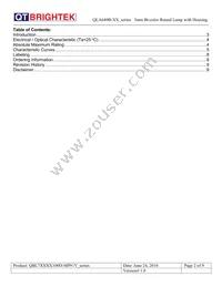 QLA694B-HG Datasheet Page 2