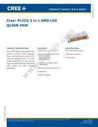 QLS6B-FKW-CNSNSF043 Datasheet Cover