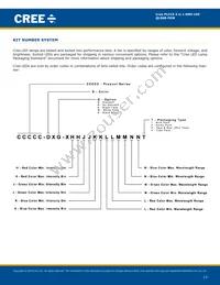 QLS6B-FKW-CNSNSF043 Datasheet Page 13