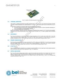 QME48T20120-PGB0G Datasheet Page 9