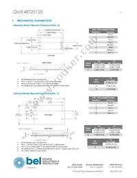 QME48T20120-PGB0G Datasheet Page 13