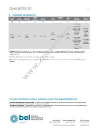 QME48T20120-PGB0G Datasheet Page 15