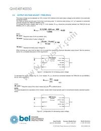 QME48T40050-PGABG Datasheet Page 5