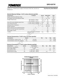 QRS1420T30 Datasheet Page 2