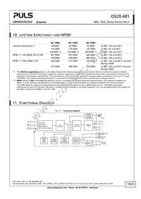 QS20.481 Datasheet Page 10