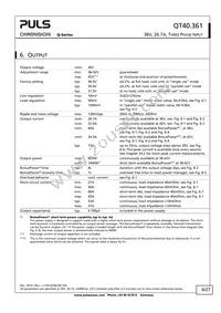 QT40.361 Datasheet Page 6