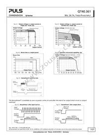 QT40.361 Datasheet Page 7