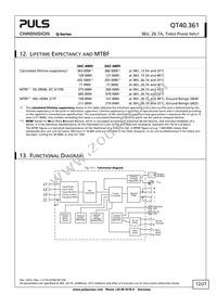 QT40.361 Datasheet Page 12