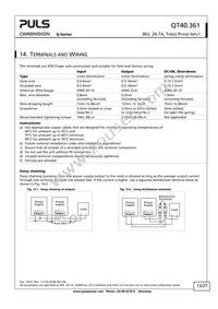 QT40.361 Datasheet Page 13