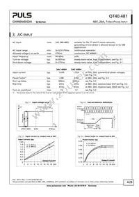 QT40.481 Datasheet Page 4