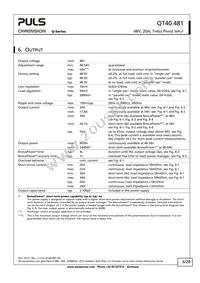 QT40.481 Datasheet Page 6