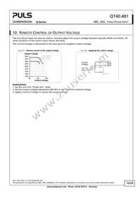 QT40.481 Datasheet Page 10