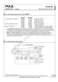 QT40.481 Datasheet Page 12