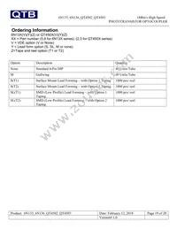 QT4503 Datasheet Page 19