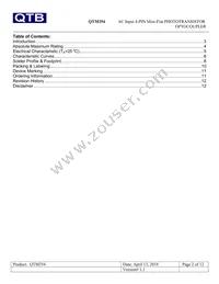 QTM354T1 Datasheet Page 2