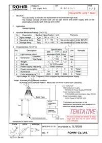 R-B101L1 Datasheet Cover