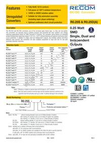 R0.25D12-3.33.3/HP Datasheet Cover