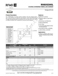 R0605300L Datasheet Cover