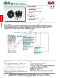 R10207RR03Q Datasheet Cover