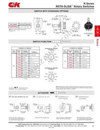 R10207RR03Q Datasheet Page 2