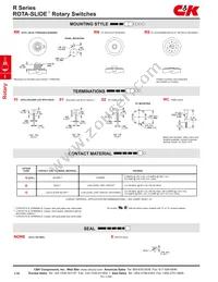 R10207RR03Q Datasheet Page 3