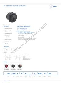 R13112AAAA Datasheet Cover