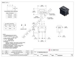 R1966DBLKBLKCS Datasheet Cover