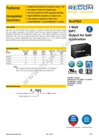 R24P06S Datasheet Cover