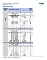 R463I26805001K Datasheet Page 2