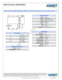 R46KF310050P0K Datasheet Cover