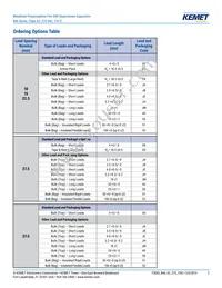 R46KI23300001M Datasheet Page 2