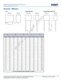 R46KI23300001M Datasheet Page 3